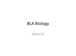 BLA Biology