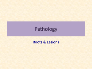 pathology_lesions
