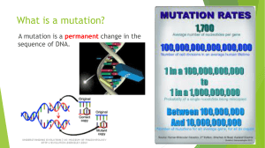 What causes gene mutations?