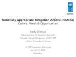 Nationally Appropriate Mitigation Actions (NAMAs) Drivers, Needs