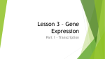 Lesson 3 * Gene Expression