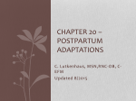 NCTC Chapter 20 Postpartum_Adaptations McKinney v.4