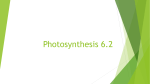 Photosynthesis 6.2