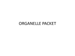 ORGANELLE PACKET