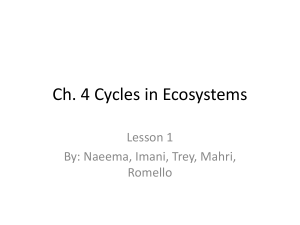 Ch. 4 Cycles in Ecosystems