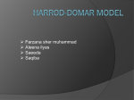 Harrod-Dommar Model