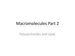 Macromolecules Part 2