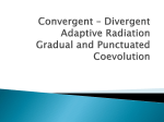 Convergent - Divergent Coevolution and Punctuated