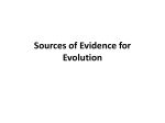 Sources of Evidence for Evolution