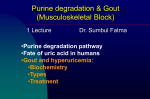 04 Purine_degradation-Gout