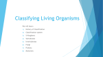Classifying Living Organisms Unit 10.4.16