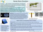 Rocky Shore Zonation - Field Studies Council