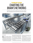 charting the brain`s networks