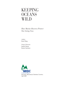 NRDC: Keeping Oceans Wild: How Marine Reserves Protect Our