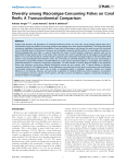 Diversity among Macroalgae-Consuming Fishes on Coral Reefs: A