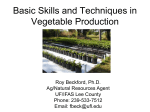 Basic Skills and Techniques in Vegetable Production