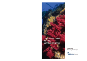 the seamounts of the gorringe bank