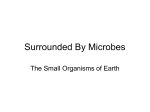Surrounded By Microbes