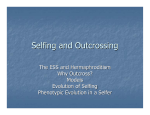 Selfing and Outcrossing