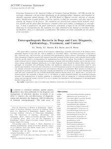 Enteropathogenic Bacteria in Dogs and Cats: Diagnosis