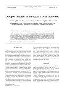 Copepod carcasses in the ocean. I. Over seamounts
