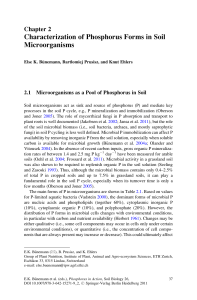 Characterization of Phosphorus Forms in Soil Microorganisms