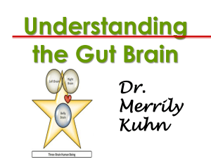 Understanding the Gut Brain
