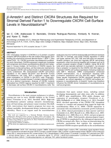 b-Arrestin1 and Distinct CXCR4 Structures Are Required for Stromal