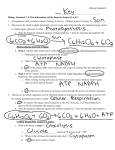 Physical Science EOC Review Name