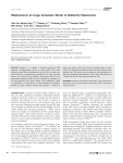 Mechanisms of large actuation strain in dielectric