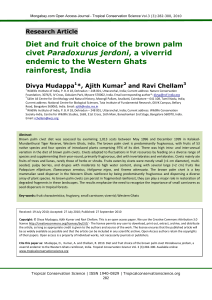 Ecology and conservation of small carnivores in tropical rainforests