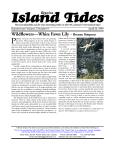 PDF - Island Tides