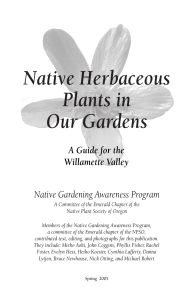 Native Herbaceous Plants in Our Gardens