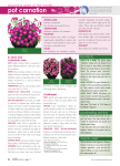 printable PDF - Super Floral