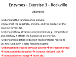 Enzymes - Exercise 3 - Science Learning Center