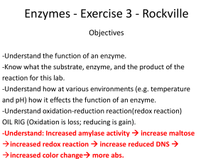 Enzymes - Exercise 3 - Science Learning Center