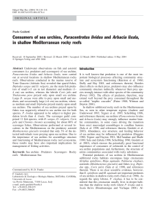 Consumers of sea urchins, Paracentrotus lividus and Arbacia lixula