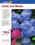 Chapter 19: Acids and Bases