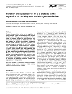 Function and specificity of 14-3-3 proteins in the regulation of