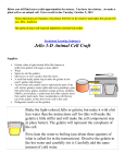 Jello 3-D Animal Cell Craft