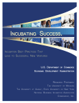 Executive Summary - EDA Incubator Tool