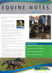 April Newsletter 2017 - Southern Veterinary Centre