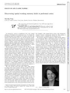 Discovering spatial working memory fields in prefrontal cortex