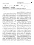 Germline acquisition of Cas9/RNA-mediated gene