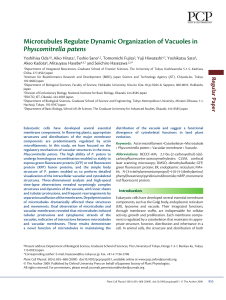 Microtubules Regulate Dynamic Organization of Vacuoles in