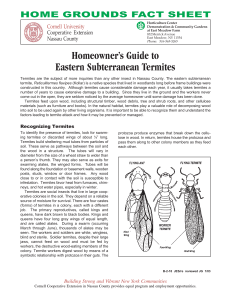 Termites - Cornell Cooperative Extension of Nassau County