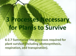 3 Processes Necessary for Plants to Survive