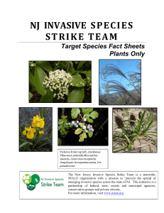 Invasive Plants Fact Sheet - New Jersey Invasive Species Strike Team