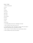 Exercise 7: Mitosis 1. Define the following terms: Cell cycle: Mitosis