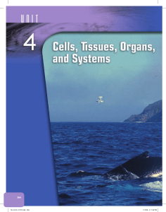 Cells, Tissues, Organs, and Systems [CATCH FIGURE PUO10A